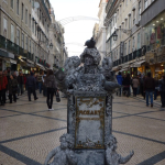 P1070868-w740_h555